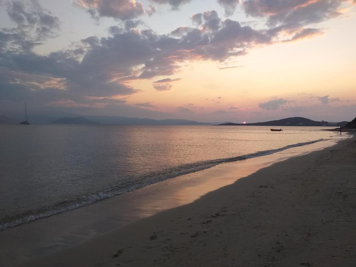 Agia Anna  Villa Polemis المظهر الخارجي الصورة